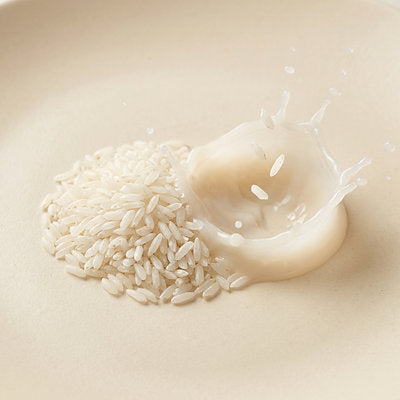 Rice Protein